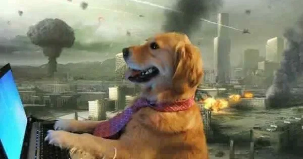 ¡Deja de vagar como chucho en calle!