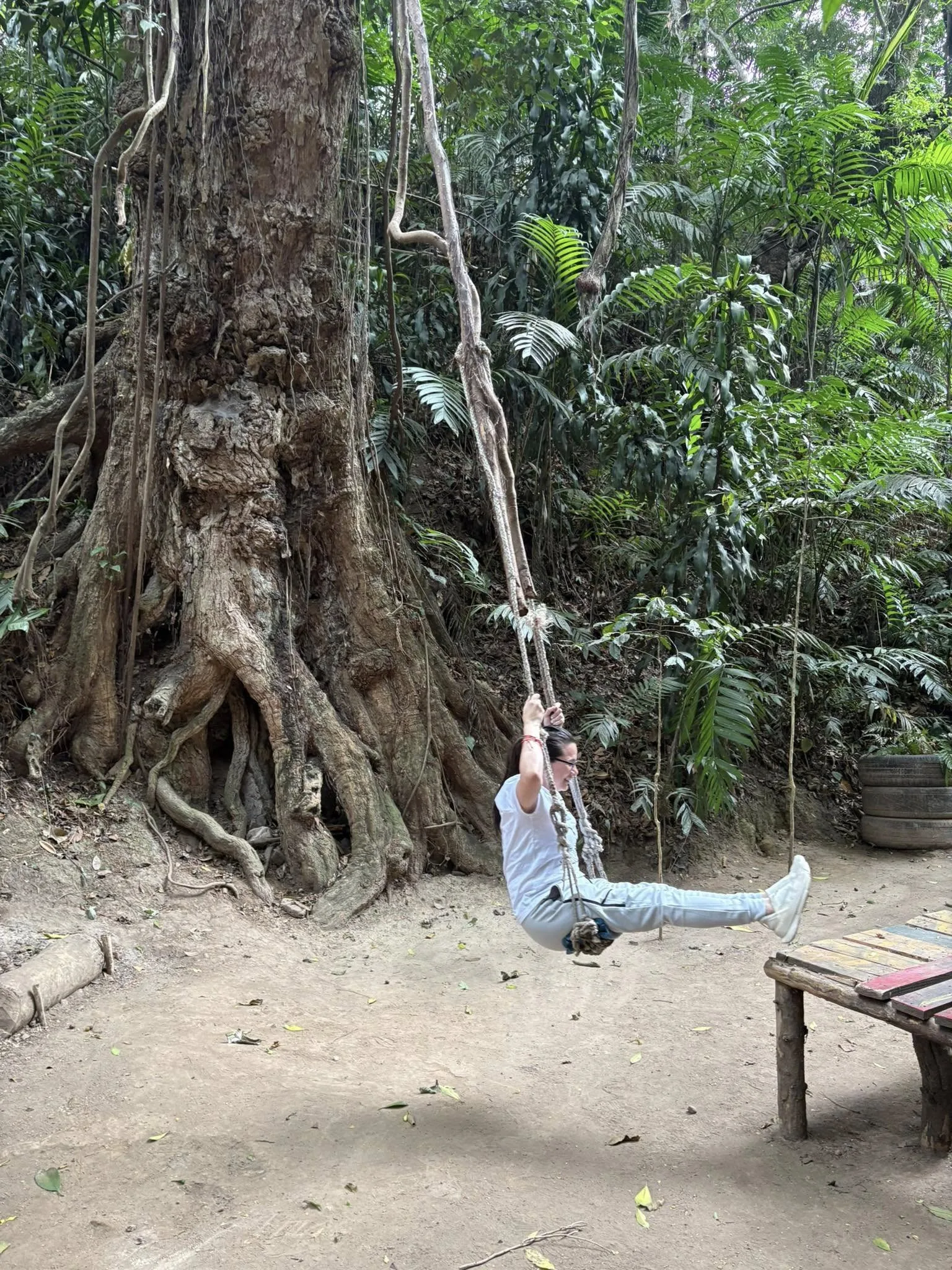 El Pulmón Verde en Medio de la Selva de Edificios